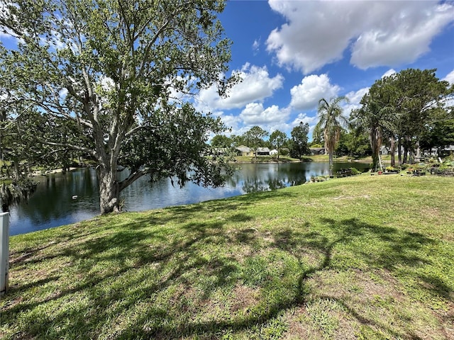 8312 Split Rail Ln, Hudson, FL 34667 - water view