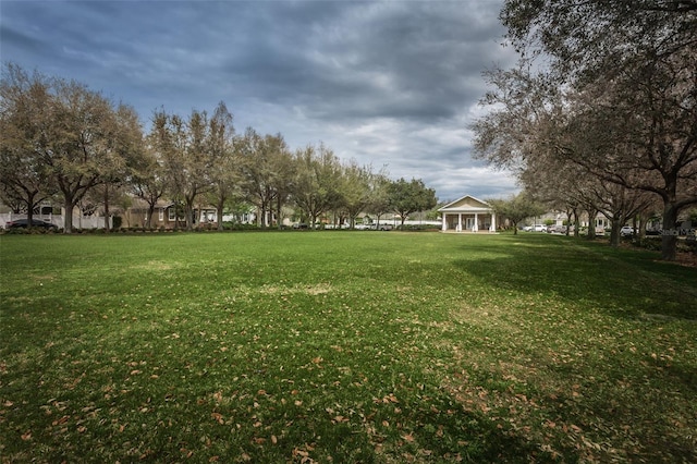4197 Glade Wood Loop, New Port Richey, FL 34655 - view of green lawn