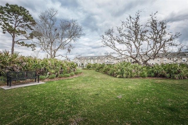 4197 Glade Wood Loop, New Port Richey, FL 34655 - view of grassy yard with a residential view