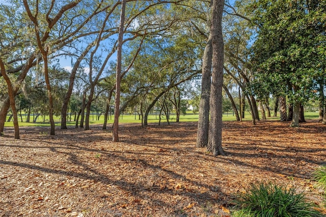 2342 Countryside Dr, Spring Hill, FL 34606 - view of yard