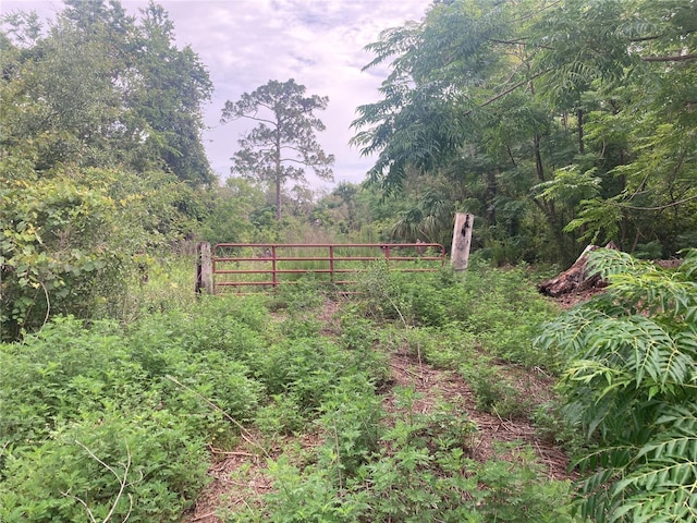10553 Hazel Ave, Hudson, FL 34669