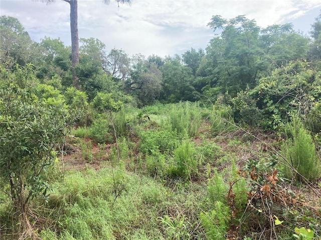 10553 Hazel Ave, Hudson, FL 34669