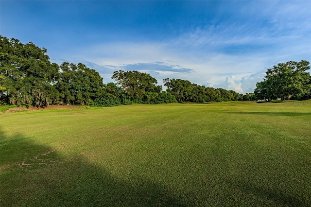 2987 Wentworth Way, Tarpon Springs, FL 34688 - photo 88