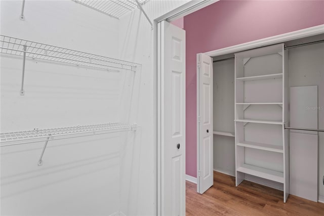 4351 Mallard Lake Dr, Spring Hill, FL 34609 - spacious closet with light wood-style flooring