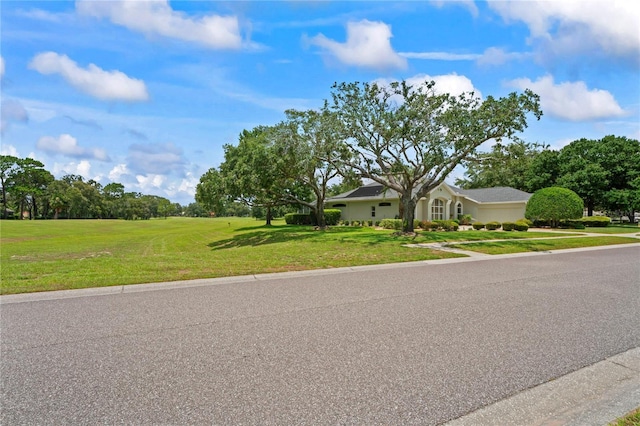 4351 Mallard Lake Dr, Spring Hill, FL 34609 - view of front facade featuring a front yard