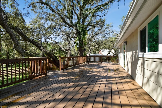 13901 Vacation Ln, Odessa, FL 33556 - photo 19