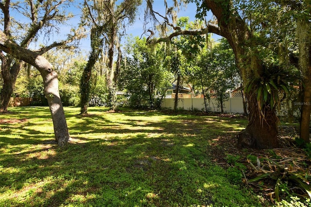 13901 Vacation Ln, Odessa, FL 33556 - photo 46