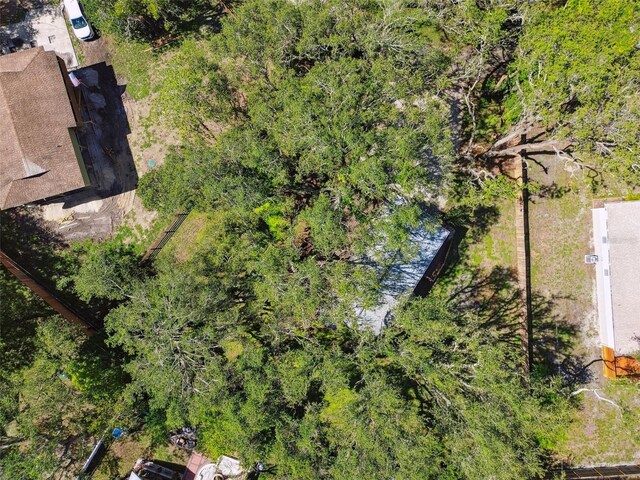 13901 Vacation Ln, Odessa, FL 33556 - photo 48