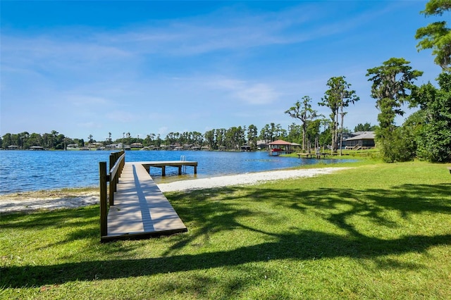 13901 Vacation Ln, Odessa, FL 33556 - photo 54