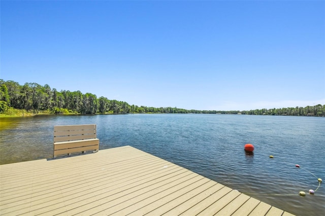 13901 Vacation Ln, Odessa, FL 33556 - photo 55
