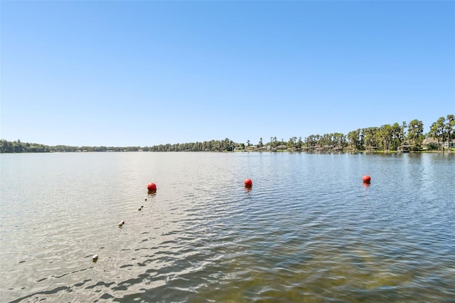 13901 Vacation Ln, Odessa, FL 33556 - photo 57