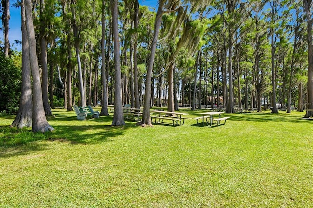 13901 Vacation Ln, Odessa, FL 33556 - photo 58