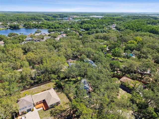 13901 Vacation Ln, Odessa, FL 33556 - photo 59