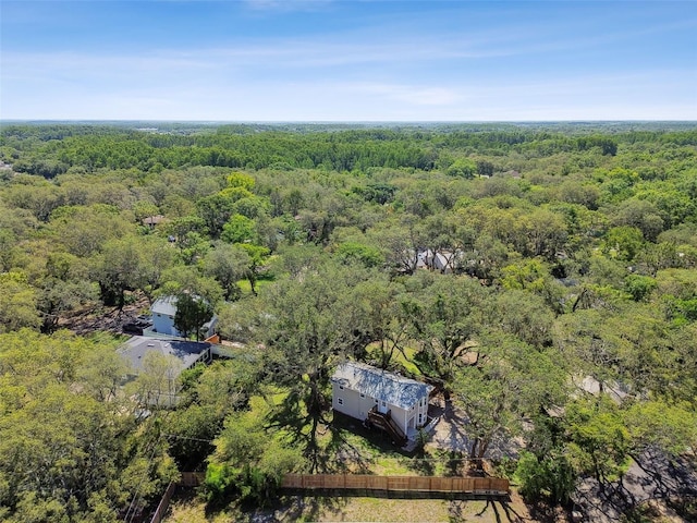 13901 Vacation Ln, Odessa, FL 33556 - photo 60