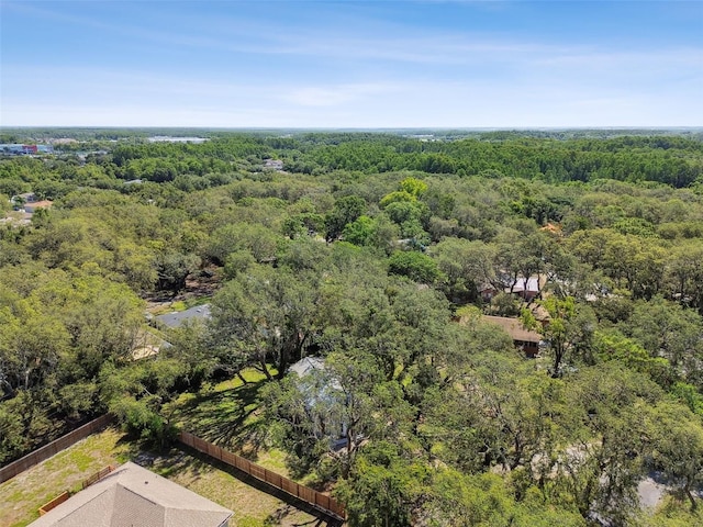 13901 Vacation Ln, Odessa, FL 33556 - photo 61