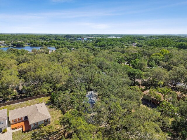 13901 Vacation Ln, Odessa, FL 33556 - photo 62