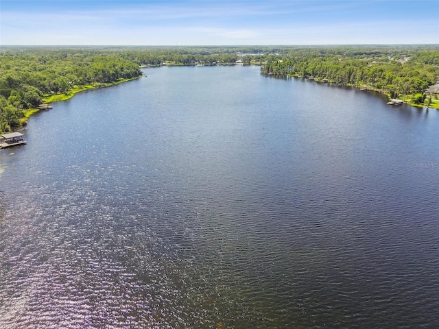 13901 Vacation Ln, Odessa, FL 33556 - photo 63