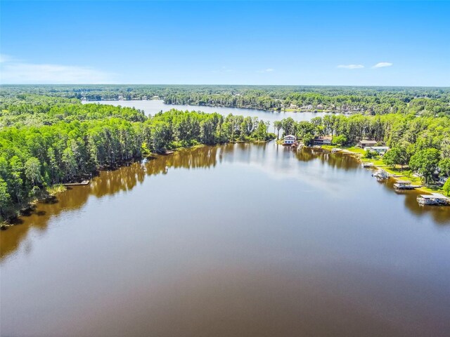 13901 Vacation Ln, Odessa, FL 33556 - photo 64