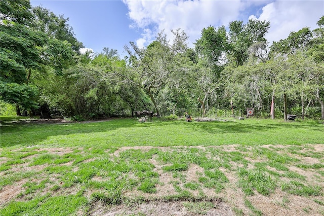 11510 Lakeview Dr, New Port Richey, FL 34654 - view of grassy yard with a forest view