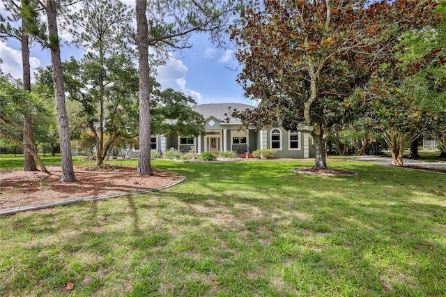 11510 Lakeview Dr, New Port Richey, FL 34654 - view of front of home featuring a front lawn