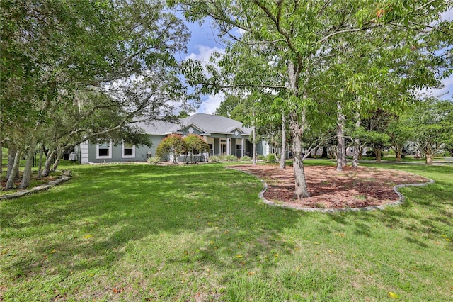 11510 Lakeview Dr, New Port Richey, FL 34654 - view of grassy yard