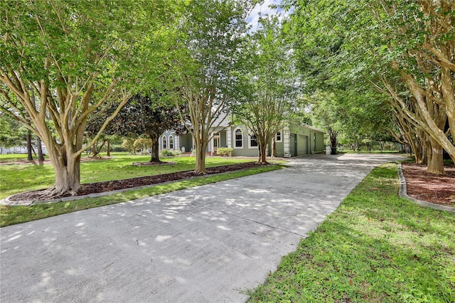 11510 Lakeview Dr, New Port Richey, FL 34654 - obstructed view of property featuring concrete driveway, a front yard, and a garage