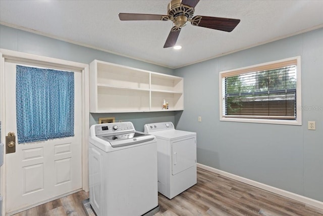 1518 Palm St NE, Steinhatchee, FL 32359 - photo 11