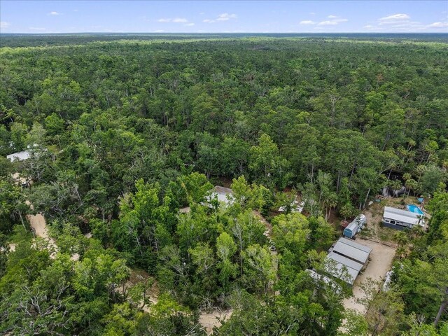 1518 Palm St NE, Steinhatchee, FL 32359 - photo 32