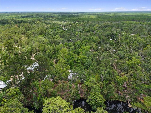 1518 Palm St NE, Steinhatchee, FL 32359 - photo 33