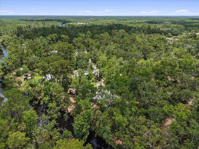 1518 Palm St NE, Steinhatchee, FL 32359 - photo 34