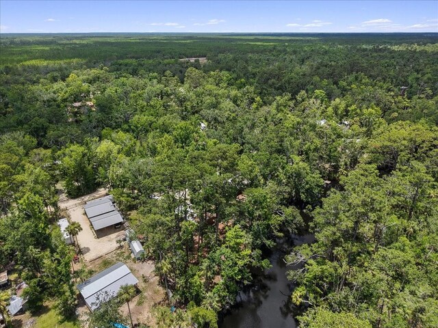 1518 Palm St NE, Steinhatchee, FL 32359 - photo 35