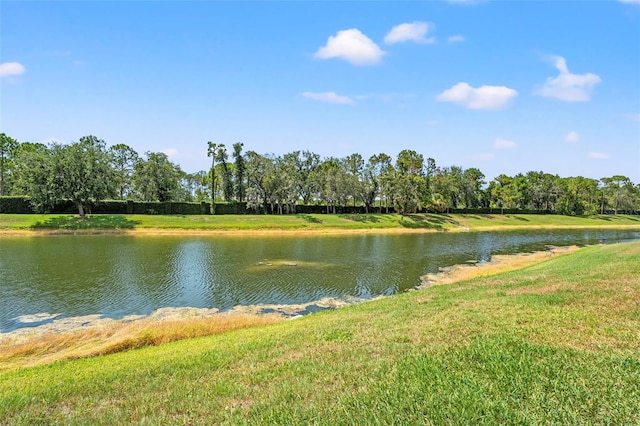 6282 Darien Way, Spring Hill, FL 34606 - photo 35