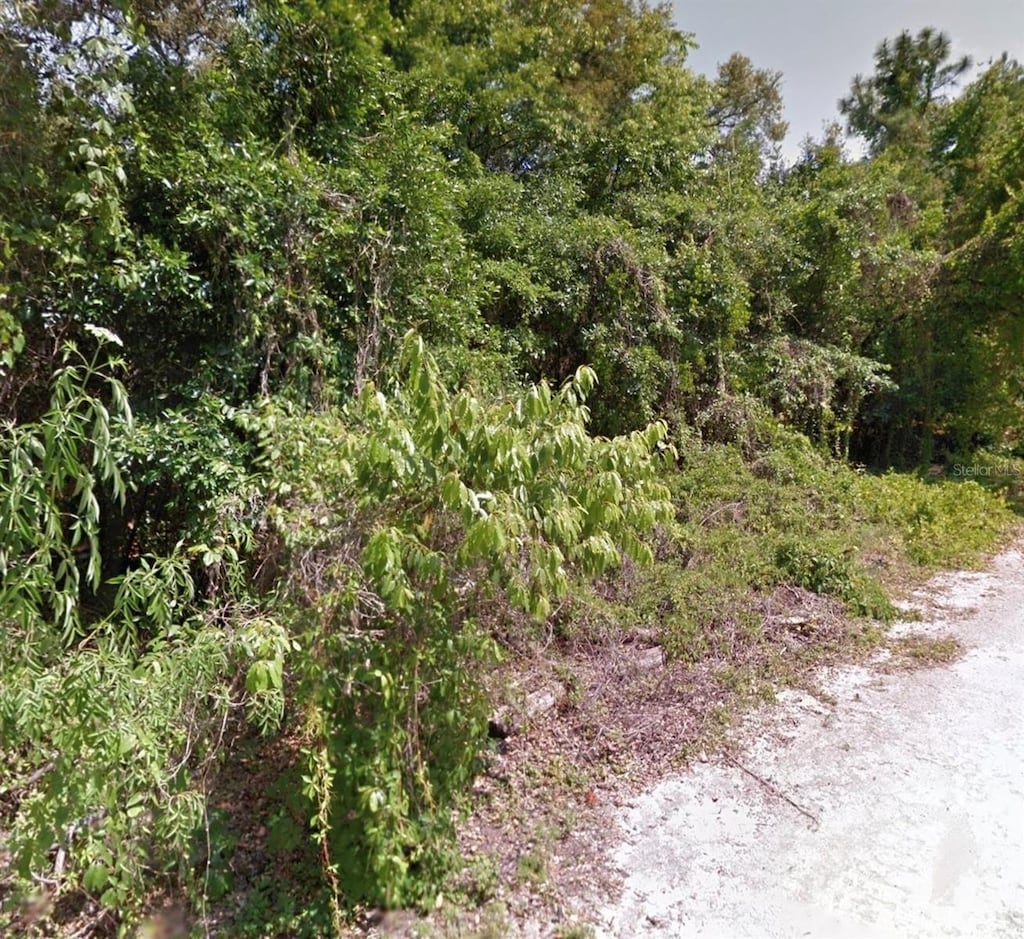 000 Gilmer St, New Port Richey, FL 34654 - photo 2