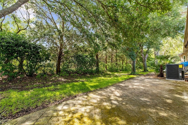 18736 Bent Pine Dr, Hudson, FL 34667 - view of yard with a patio