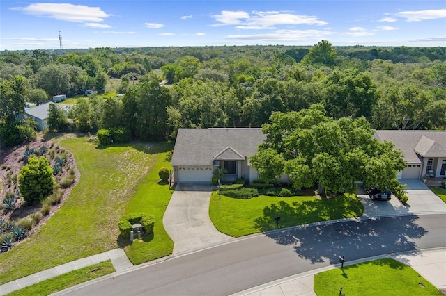 18736 Bent Pine Dr, Hudson, FL 34667 - view from above of property with a heavily wooded area