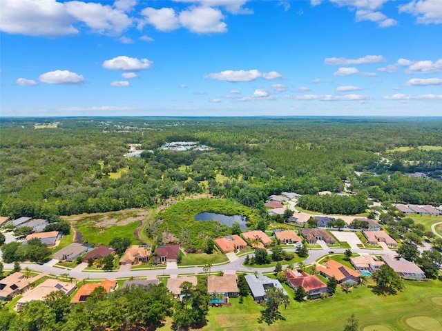 5121 Delacroix Dr, Brooksville, FL 34604 - photo 47