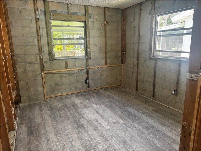 6826 Driftwood Dr, Hudson, FL 34667 - unfurnished room featuring wood finished floors and concrete block wall