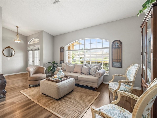 12060 Sapphire Dr, Spring Hill, FL 34609 - living area featuring wood finished floors, a textured ceiling, and vaulted ceiling
