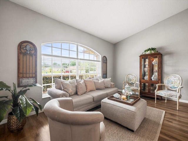 12060 Sapphire Dr, Spring Hill, FL 34609 - living room with vaulted ceiling and wood finished floors