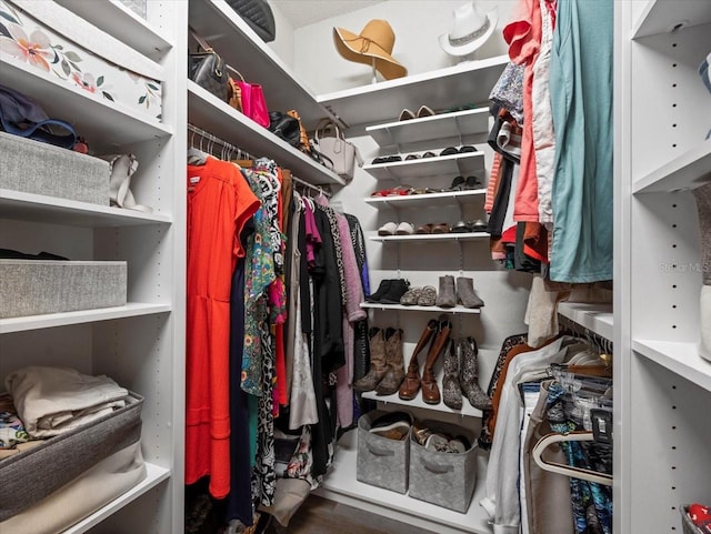 12060 Sapphire Dr, Spring Hill, FL 34609 - spacious closet with wood finished floors