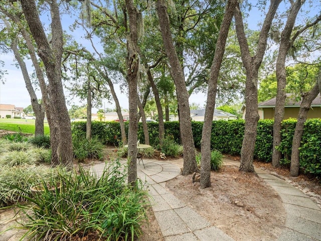 12060 Sapphire Dr, Spring Hill, FL 34609 - view of yard