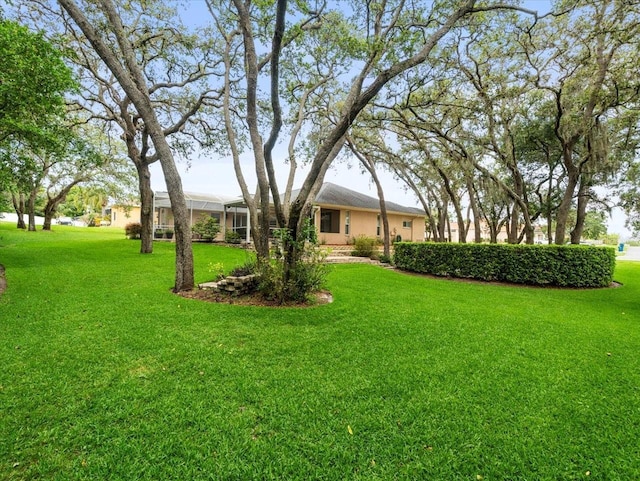 12060 Sapphire Dr, Spring Hill, FL 34609 - view of green lawn