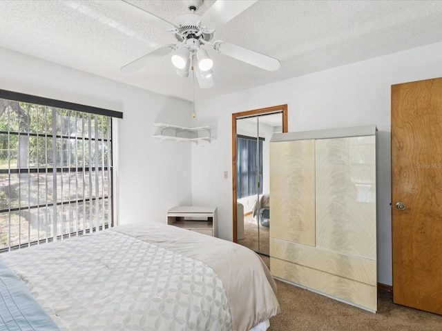2404 Knoll Dr, Spring Hill, FL 34608 - photo 26