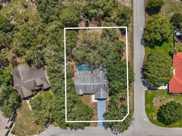 2404 Knoll Dr, Spring Hill, FL 34608 - photo 42