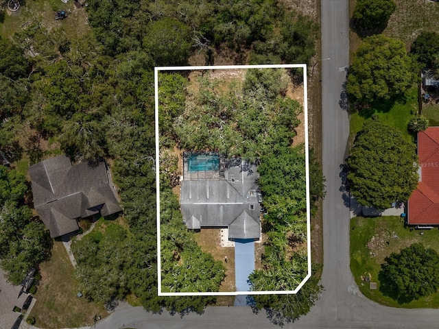 2404 Knoll Dr, Spring Hill, FL 34608 - photo 5