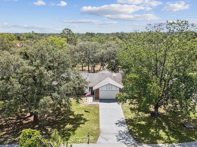 2404 Knoll Dr, Spring Hill, FL 34608 - photo 4