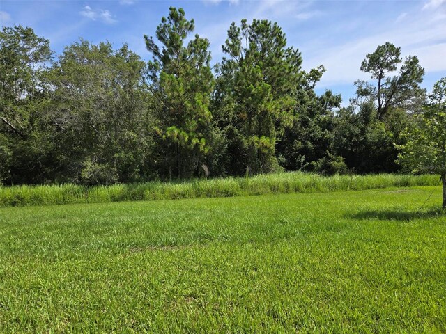 14437 Maiden Ter, Lakewood Ranch, FL 34211 - photo 3