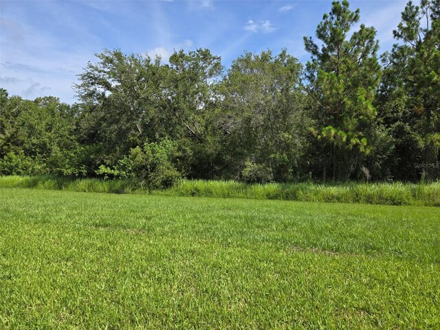 14437 Maiden Ter, Lakewood Ranch, FL 34211 - photo 4