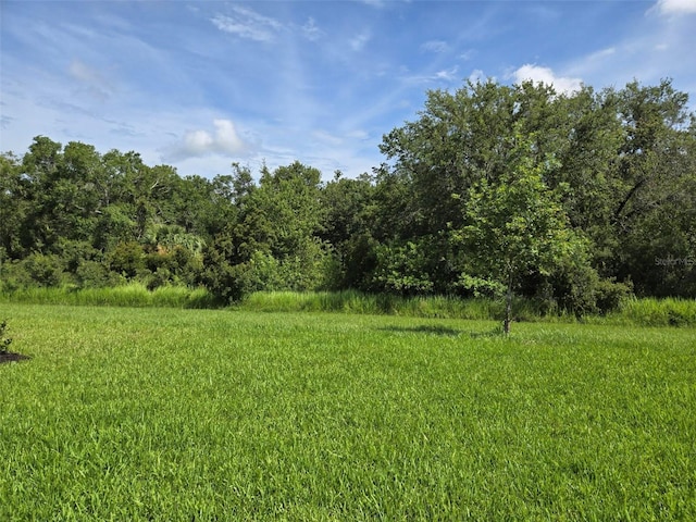 14429 Maiden Ter, Lakewood Ranch, FL 34211 - photo 3