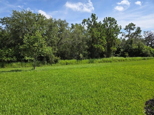 14429 Maiden Ter, Lakewood Ranch, FL 34211 - photo 4